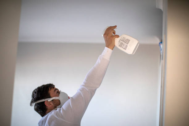 Best Basement Mold Remediation in Pike Road, AL